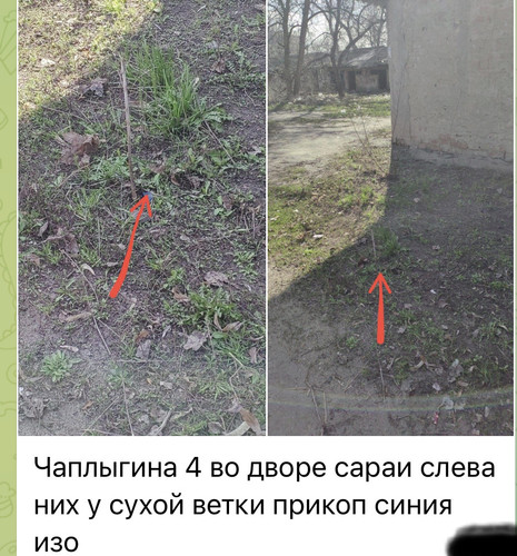 IMG 6467.jpg