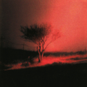 c44c31f068ee.png