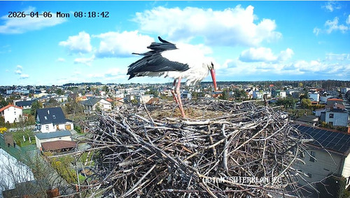 MWSnap371.jpg