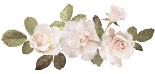 retouch 2026040702055343.png