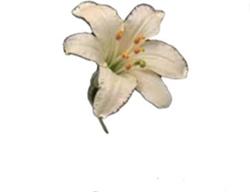 retouch 2026040702082382.png