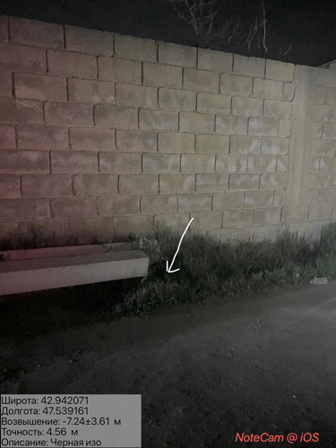 photo 5 2026 04 06 22 10 34.jpg