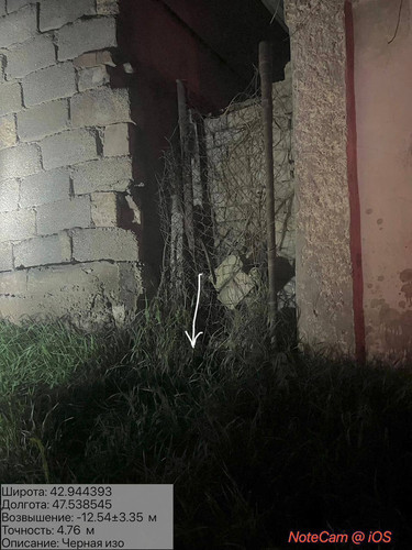 photo 8 2026 04 06 22 10 34.jpg