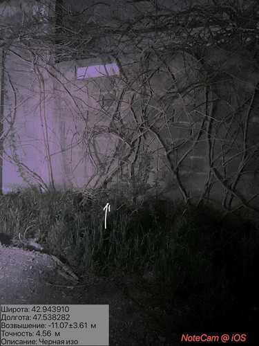 photo 9 2026 04 06 22 10 34.jpg