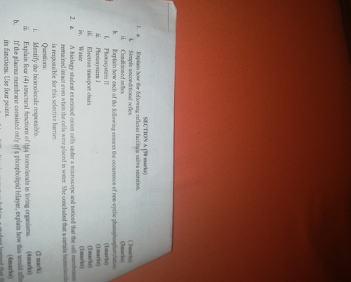 temp.png