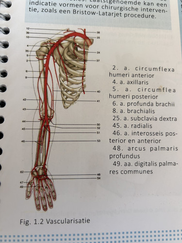 9b96183683dc.jpg