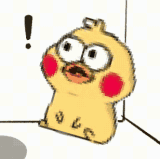 IMG 5668.gif