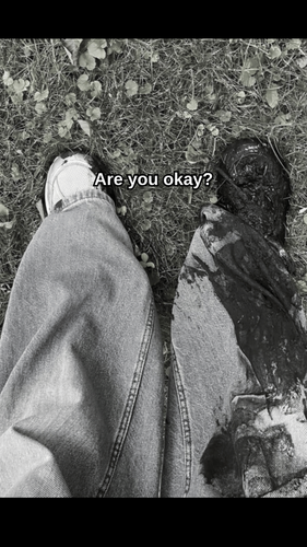 06786cc5a9a0.png