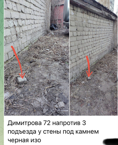 IMG 6478.jpg