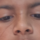 temp.png