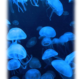 Untitled669 20260406145545.png