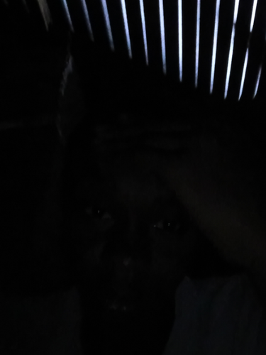 temp.png