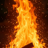 temp.png