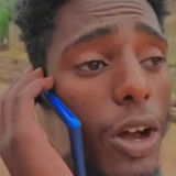 temp.png
