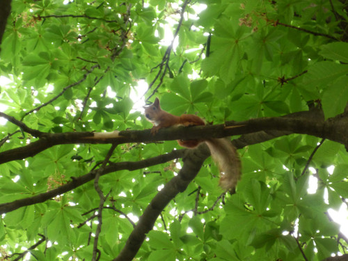 rl 45089480824 o.jpg