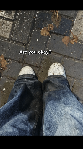 c49038c10460.png