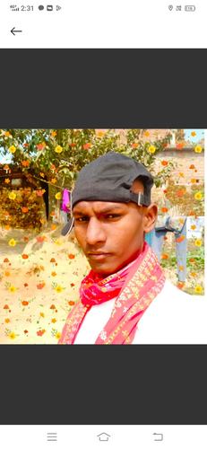681fcf18e9d1.png