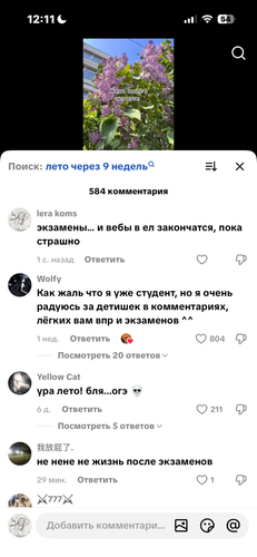 IMG 7734.png