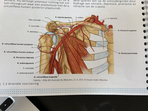 1174f065762c.jpg