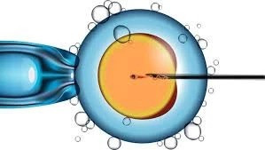 https://www.hopefertilitypreservation.in/.jpg