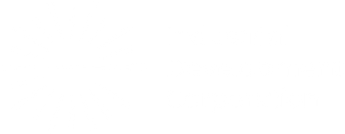 IDC Logo Spark white.png