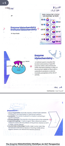 Screenshot ٢٠٢٦٠٤٠٦ ٢١٥٣١٨.png