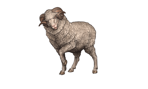image 2026 04 06 180711154.png