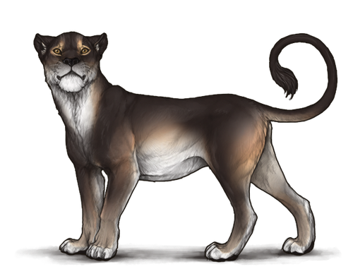 tumblr 7798cf051dabdb8e67084989fb060792 9f5f30c9 640.png
