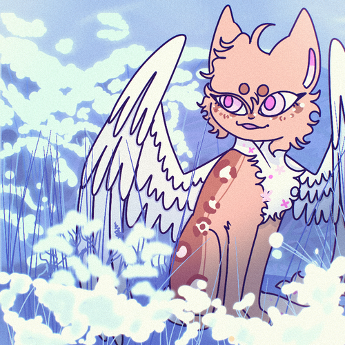 IMG 8402.png