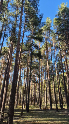 96f4314fb935.jpg
