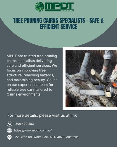 Tree Pruning Cairns Specialists Safe & Efficient Service.jpg