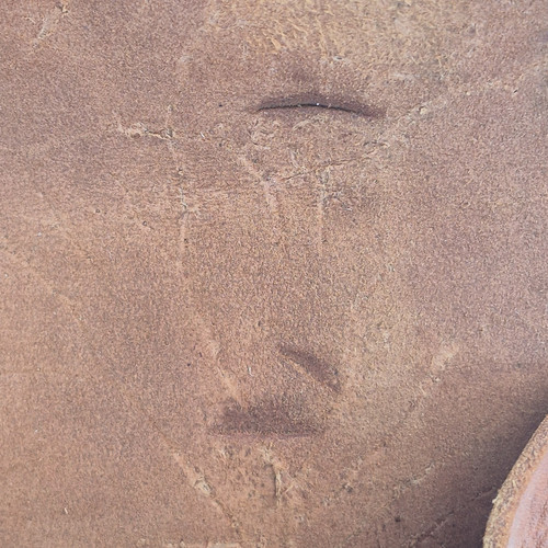 1257f1511432.jpg