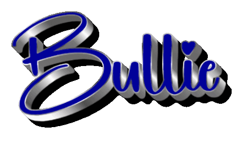 Bullie 4 16 2026 (2).gif