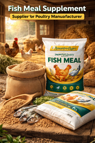 Trusted Fish Meal Supplement Supplier for Poultry and Manufacturer.png