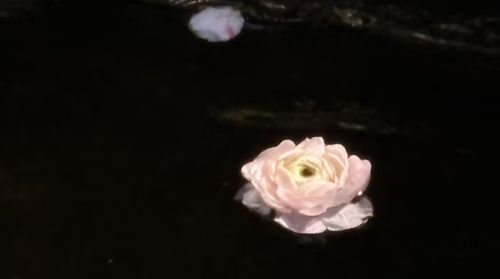 IMG 20260416 235427.png