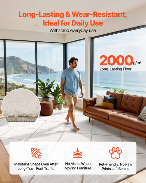 us%2FJXDDTSSCR8X10TZKW001V0%2Foriginal img v2%2Findoor plush area rug f2.jpg