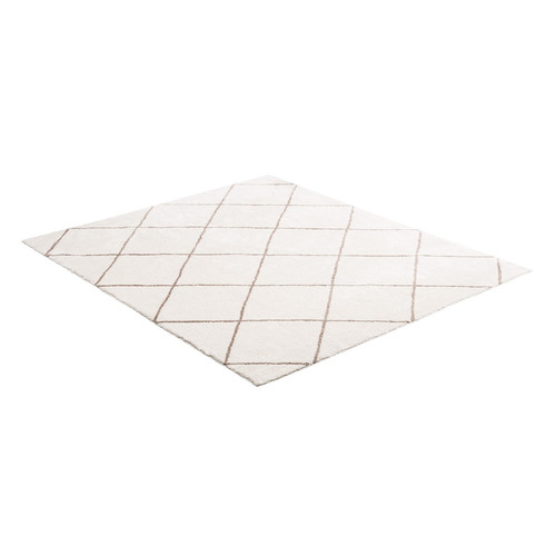 us%2FJXDDTSSCR8X10TZKW001V0%2Foriginal img v2%2Findoor plush area rug m100 9.jpg