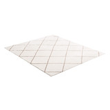 us%2FJXDDTSSCR8X10TZKW001V0%2Foriginal img v2%2Findoor plush area rug m100 9