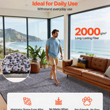 us%2FJXDDTSSCR8X1HTYN7001V0%2Foriginal img v2%2Findoor plush area rug f2