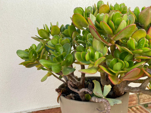 0zrVMkKw0ppO3OfvXCb MBUgPU2FeASolWzvPpwsWDDcFnGtIfebzSpG5Pgbua6GS91YQ6LyXw6 Bx6odGhZEhhlzeCv7FltFLRF.jpg