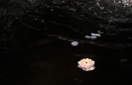 IMG 20260416 215529.png