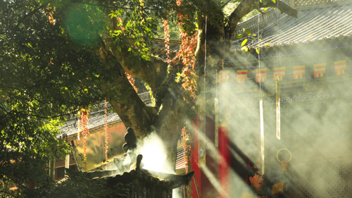 IMG 20260416 215209.png