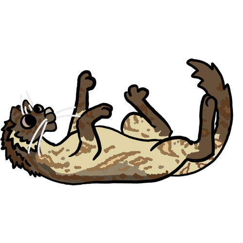1000019585.png
