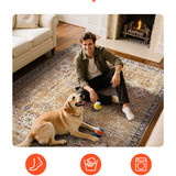 us%2FJXZXDT6X9FTF3O5Q8001V0%2Foriginal img v1%2Farea rugs f6