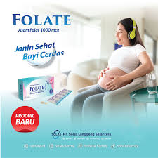 FOLATE 1MG 1.jpg