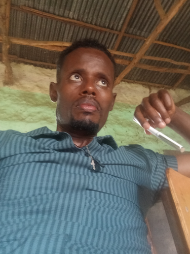 temp.png