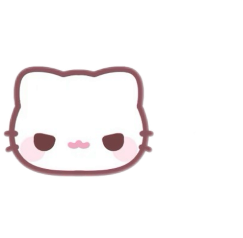 IMG 4243.png