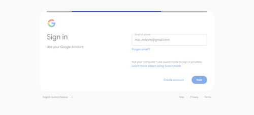 2026 04 16T14 09 55 366Z GOOGLE email entered password.png