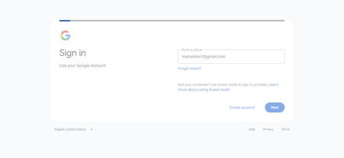 2026 04 16T14 09 56 048Z GOOGLE email entered password.png