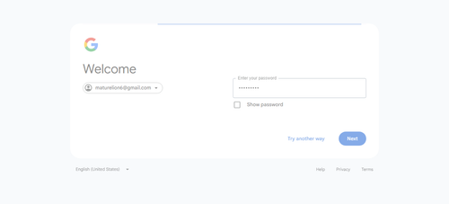 2026 04 16T14 10 00 906Z GOOGLE password entered.png